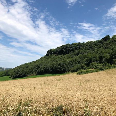 Agriturismo L'Esinante Cupramontana Экстерьер фото