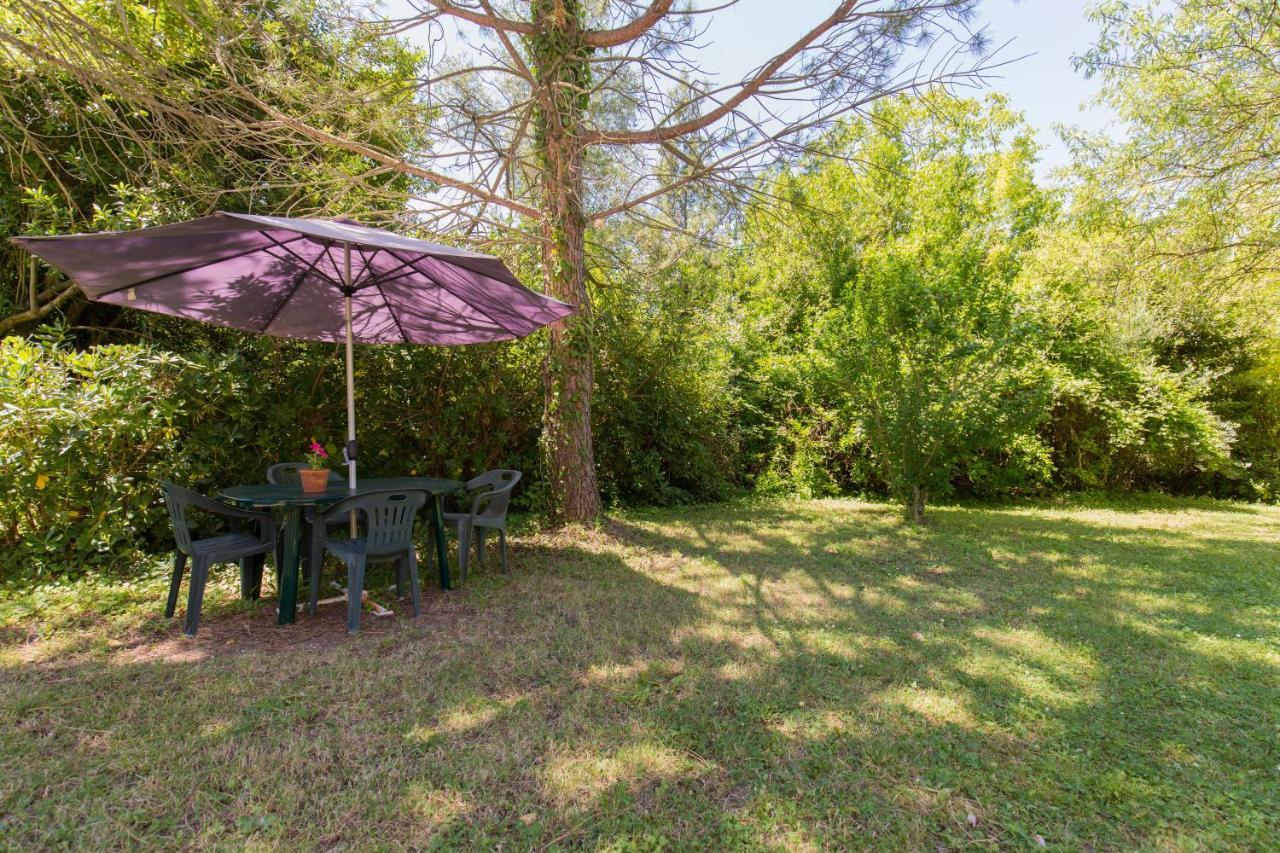 Agriturismo L'Esinante Cupramontana Экстерьер фото